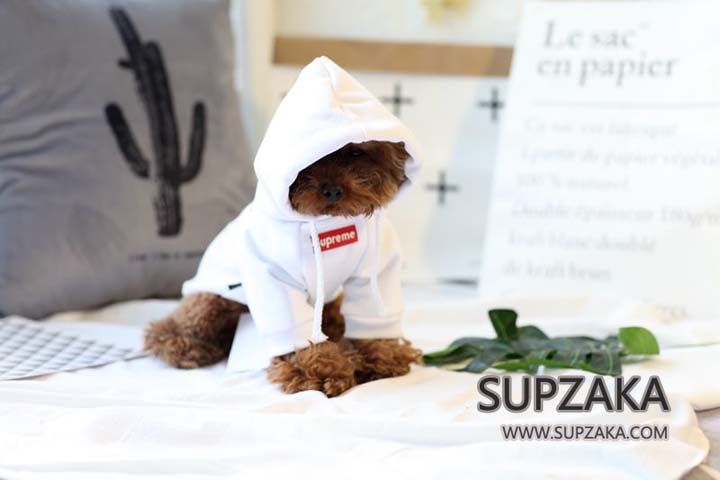 シュプリーム ボックスログ 犬の服 防寒