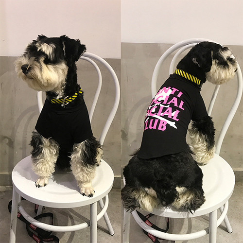 韓国g Dragon デイジー 犬服 Tシャツ 可愛い ドッグウェア 雛菊総柄 コットン製 小型犬服 中型犬服