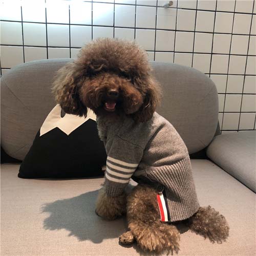 THOM BROWNE 犬服 ニットセーター