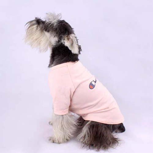 チャンピオン 犬 tシャツ ピンク
