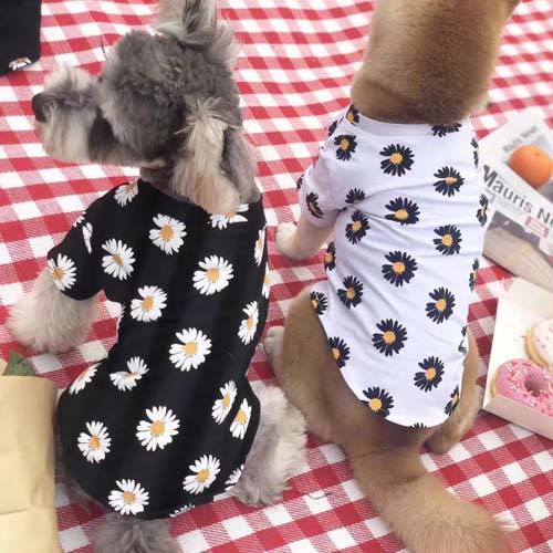 韓国G-DRAGON デイジー 犬服 tシャツ 可愛い